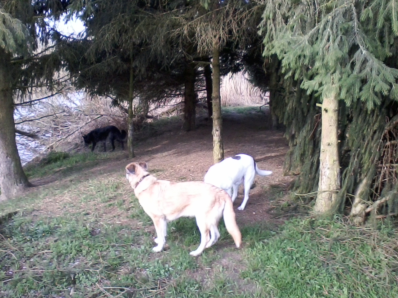 Mit Luis und Barnie an der Vils.jpg (1280 x 960)